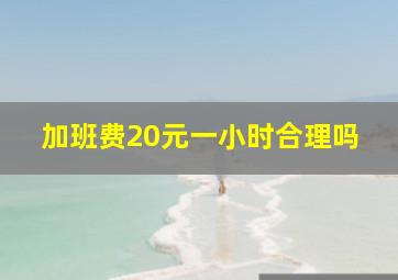 加班费20元一小时合理吗