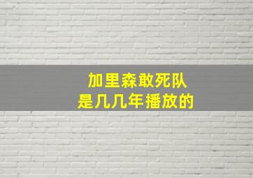 加里森敢死队是几几年播放的