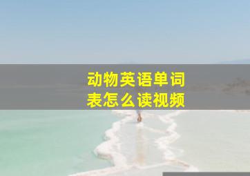 动物英语单词表怎么读视频