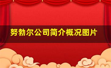 努勃尔公司简介概况图片