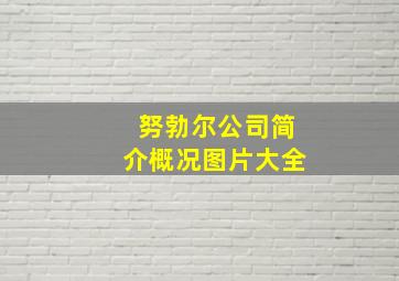 努勃尔公司简介概况图片大全