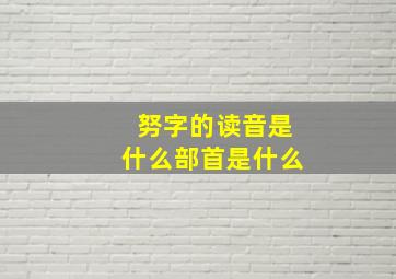 努字的读音是什么部首是什么