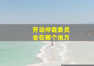 劳动仲裁委员会在哪个地方