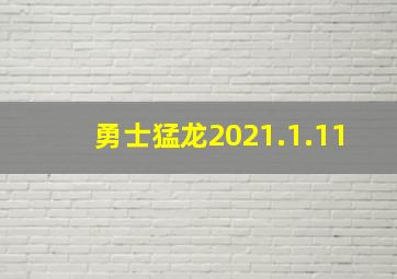 勇士猛龙2021.1.11