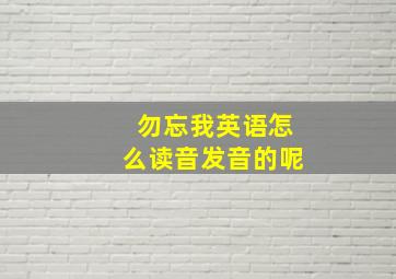 勿忘我英语怎么读音发音的呢