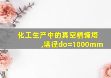 化工生产中的真空精馏塔,塔径do=1000mm