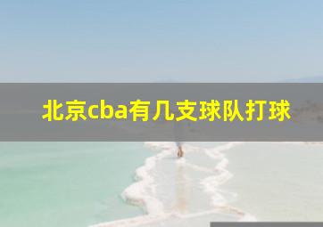 北京cba有几支球队打球