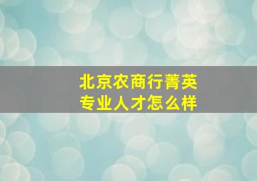 北京农商行菁英专业人才怎么样