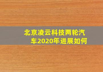 北京凌云科技两轮汽车2020年进展如何