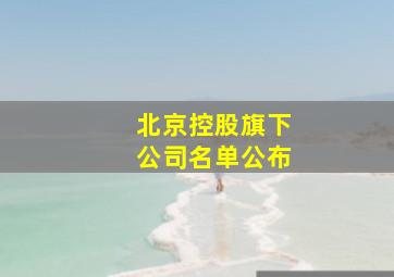 北京控股旗下公司名单公布