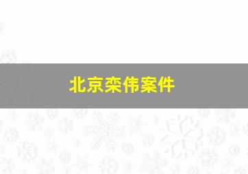 北京栾伟案件