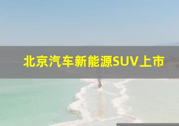 北京汽车新能源SUV上市