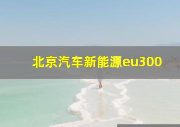 北京汽车新能源eu300