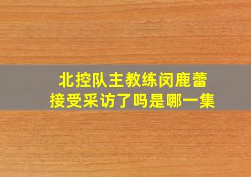 北控队主教练闵鹿蕾接受采访了吗是哪一集