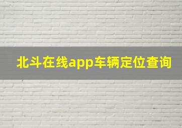 北斗在线app车辆定位查询