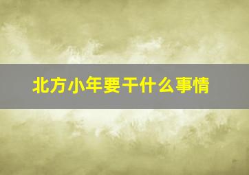 北方小年要干什么事情