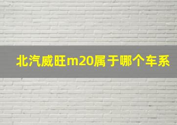 北汽威旺m20属于哪个车系