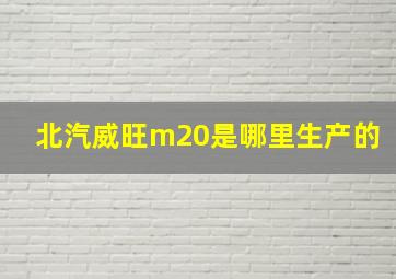 北汽威旺m20是哪里生产的