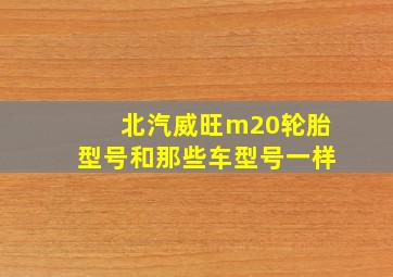 北汽威旺m20轮胎型号和那些车型号一样