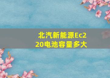 北汽新能源Ec220电池容量多大