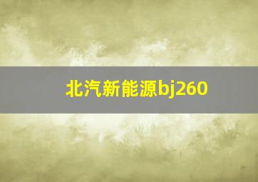 北汽新能源bj260