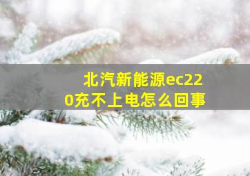 北汽新能源ec220充不上电怎么回事