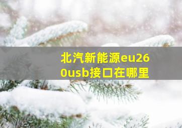 北汽新能源eu260usb接口在哪里