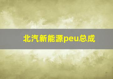 北汽新能源peu总成