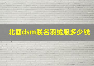 北面dsm联名羽绒服多少钱