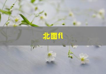 北面fl