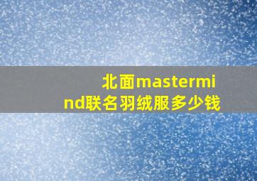 北面mastermind联名羽绒服多少钱