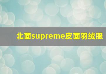 北面supreme皮面羽绒服