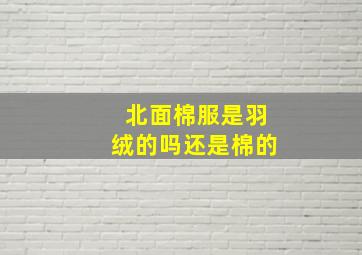 北面棉服是羽绒的吗还是棉的