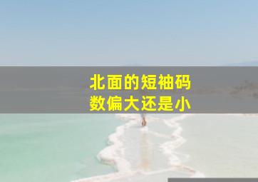 北面的短袖码数偏大还是小