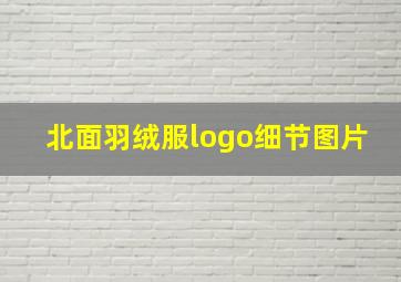 北面羽绒服logo细节图片