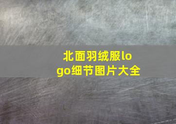 北面羽绒服logo细节图片大全