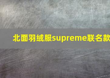 北面羽绒服supreme联名款