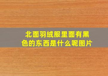 北面羽绒服里面有黑色的东西是什么呢图片