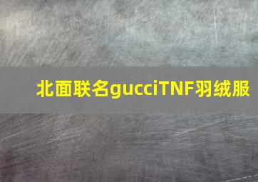 北面联名gucciTNF羽绒服