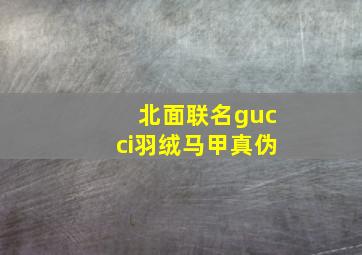 北面联名gucci羽绒马甲真伪