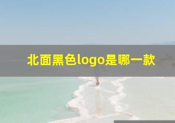 北面黑色logo是哪一款