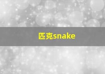 匹克snake