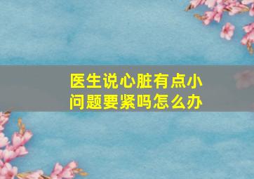 医生说心脏有点小问题要紧吗怎么办