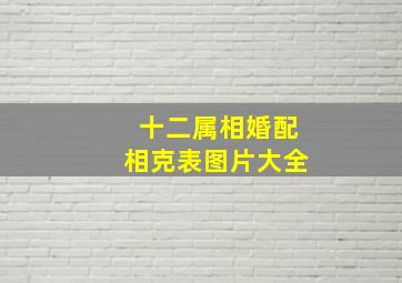 十二属相婚配相克表图片大全