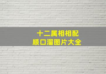 十二属相相配顺口溜图片大全