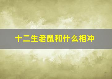 十二生老鼠和什么相冲