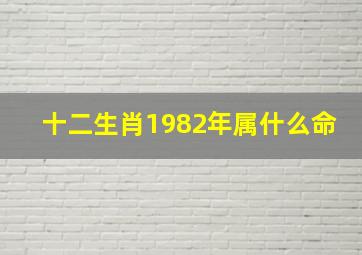 十二生肖1982年属什么命