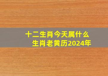 十二生肖今天属什么生肖老黄历2024年