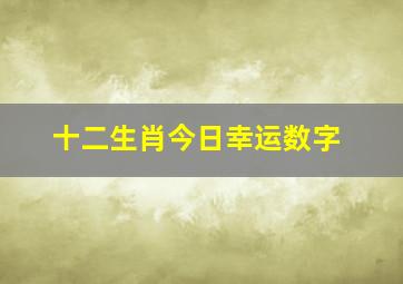 十二生肖今日幸运数字