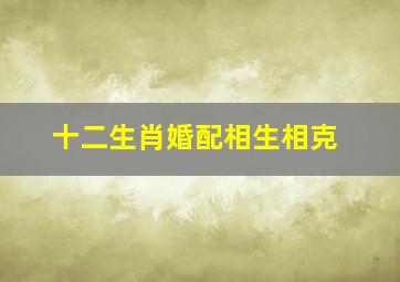 十二生肖婚配相生相克